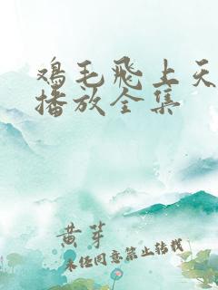 鸡毛飞上天免费播放全集