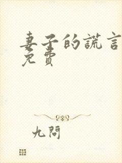 妻子的谎言完整免费