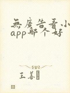 无广告看小说的app哪个好