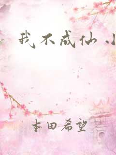我不成仙 小说