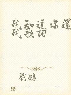 我知道你还爱着我歌词