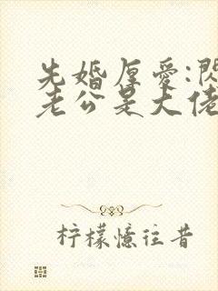 先婚厚爱:闪婚老公是大佬