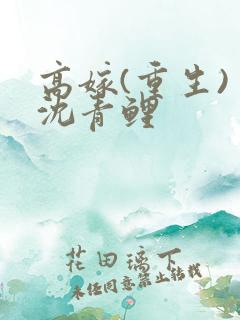 高嫁(重生) 沈青鲤