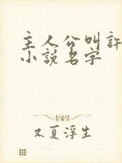 主人公叫许安的小说名字