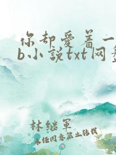 你却爱着一个sb小说txt网盘