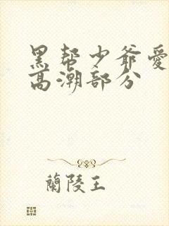 黑帮少爷爱上我高潮部分