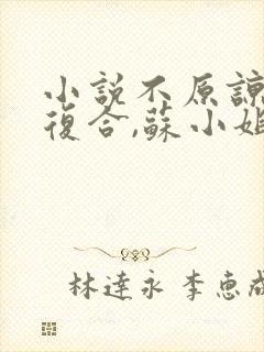 小说不原谅,不复合,苏小姐独美