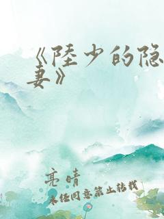 《陆少的隐婚罪妻》