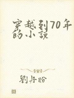 穿越到70年代的小说