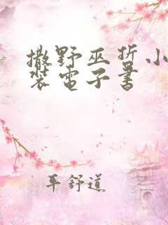 撒野巫哲小说下装电子书