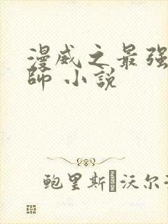 漫威之最强召唤师 小说