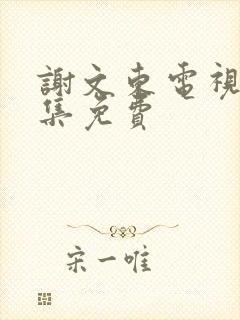 谢文东电视剧全集免费