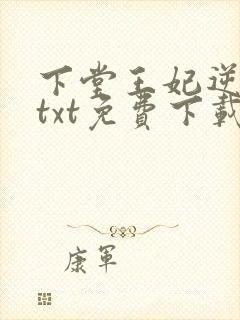 下堂王妃逆袭记txt免费下载