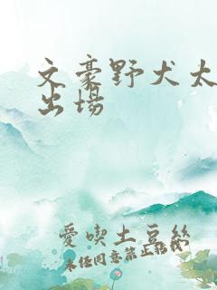 文豪野犬太宰治出场