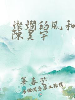 灿烂的风和海 陈昊宇