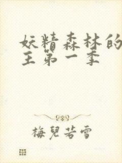 妖精森林的救世主第一季