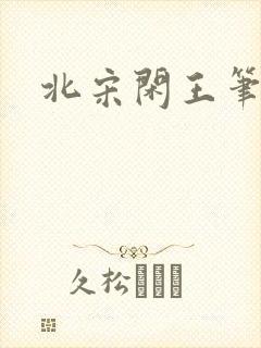 北宋闲王笔趣阁