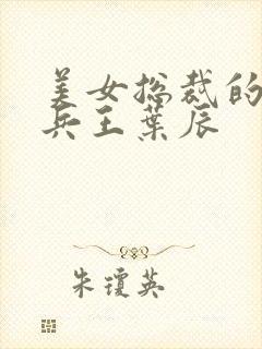 美女总裁的超级兵王叶辰