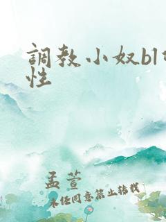 调教小奴bl双性