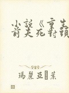 小说《重生嫁给前夫死对头》