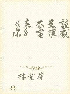 《来不及说我爱你》电视剧免费观看