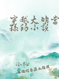 穿越大明当皇太孙的小说