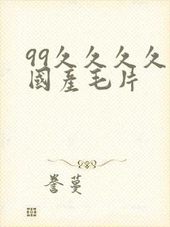 99久久久久久国产毛片