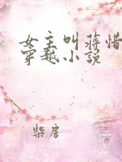 女主叫蒋惜纯的穿越小说