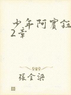 少年阿宾钰慧12章