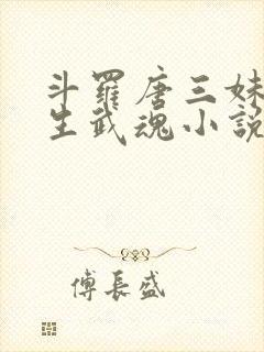 斗罗唐三妹妹双生武魂小说