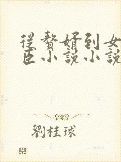 从赘婿到女帝宠臣小说小说