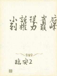 小说从省府大秘到权力巅峰