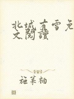 北城有雪免费全文阅读