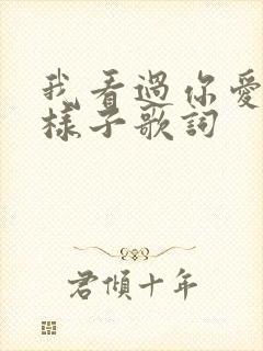 我看过你爱我的样子歌词