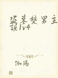 盗墓双男主的小说1v4