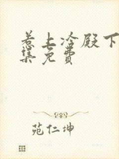 惹上冷殿下30集免费