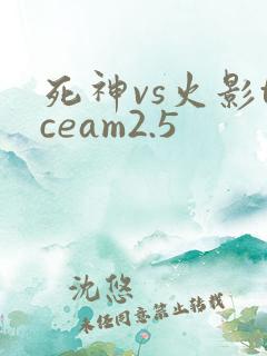 死神vs火影tceam2.5