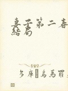 妻子第二春张倩结局