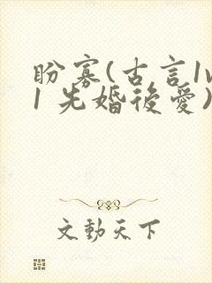 盼寡(古言1v1 先婚后爱)小说