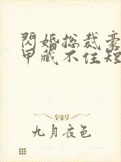 闪婚总裁豪门马甲藏不住短剧版