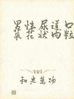 男性尿道口长出菜花状肉粒