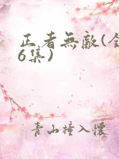 正者无敌(全36集)