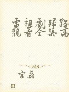 电视剧归路免费观看全集高清播放