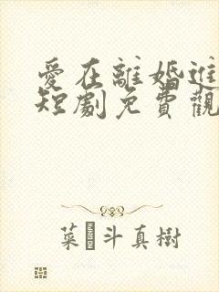 爱在离婚进行时短剧免费观看