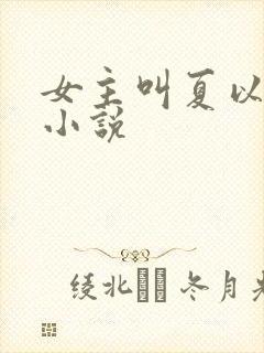 女主叫夏以荨的小说