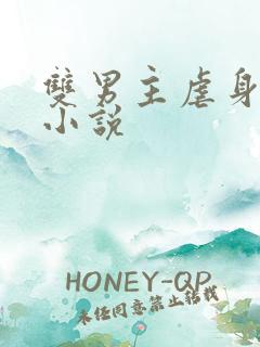 双男主虐身虐心小说