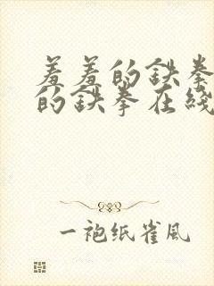 羞羞的铁拳羞羞的铁拳在线观看