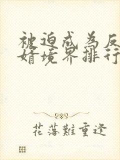 被迫成为反派赘婿境界排行