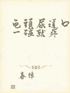 龟头尿道口红肿一碰就疼