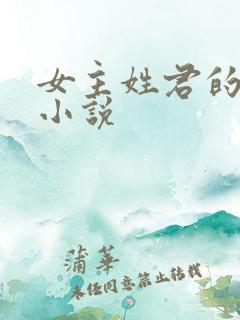 女主姓君的穿越小说